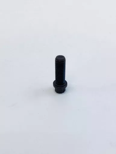0246-1956-19 Stud