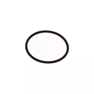 0663-9095-00 O-Ring