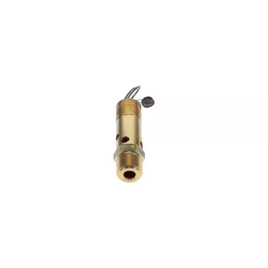 0830-1008-38 Safety Valve