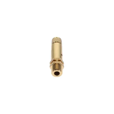 0830-1009-98 Valve Safety