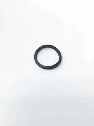 1613-6816-00 Piston