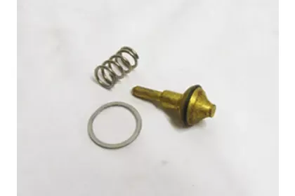 Brass Viton Valve Kit