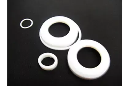 KZ Valve 3/4" Repair Kit