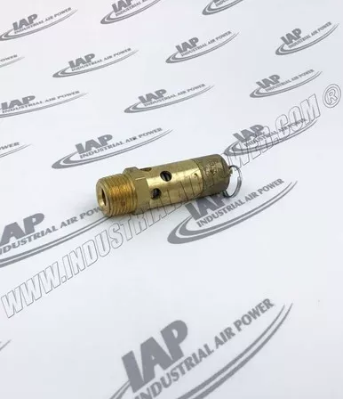 SV-500-125 Safety Valve, 1/2 Inch, 125#