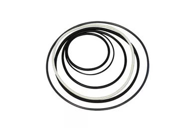 viton-gasket-cbfp-13-14-1314-v-bfn Viton Gasket for CBFP 13/14 - 1314-V-BFN